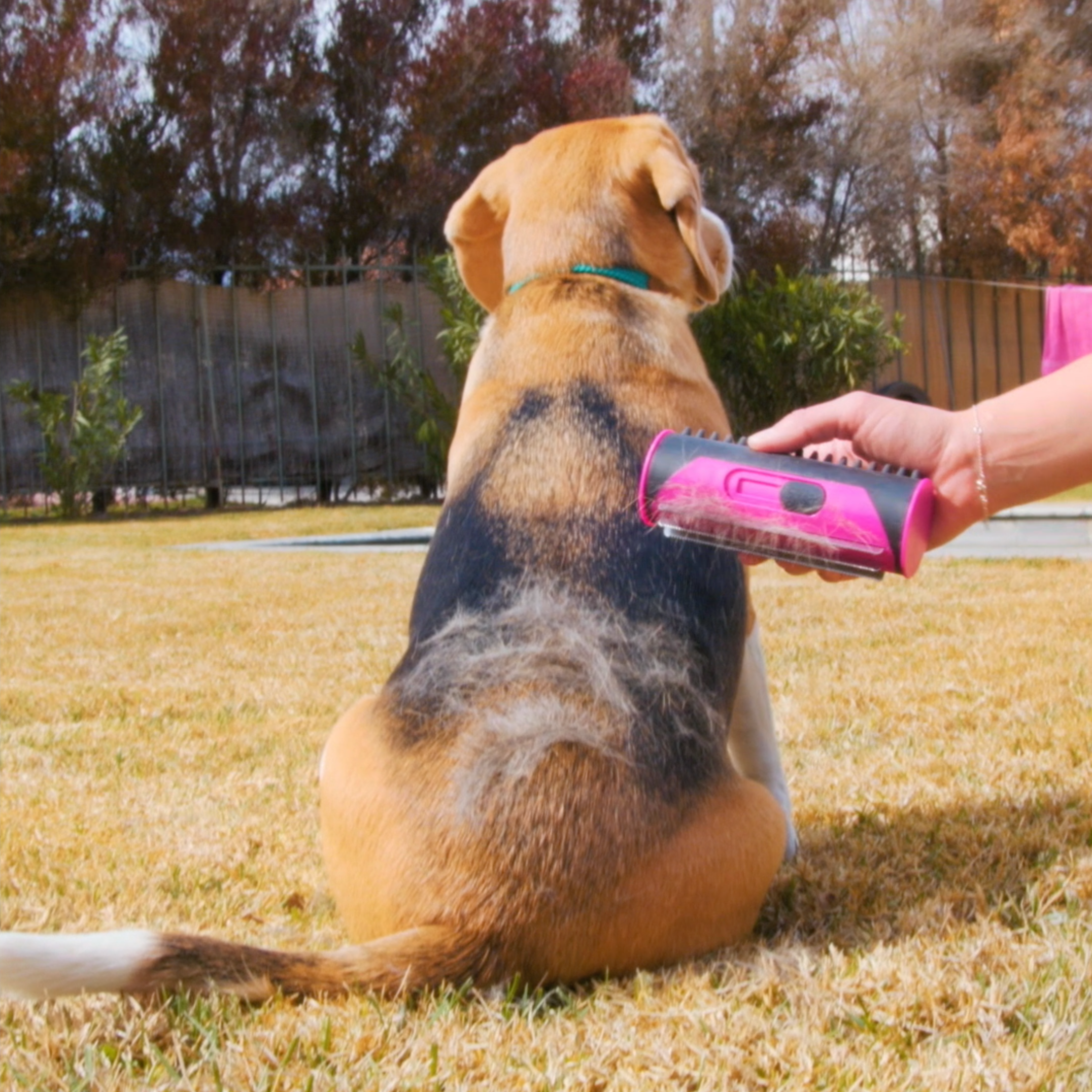 PupGroomer™ - Borstel Voor Ondervacht En Vacht