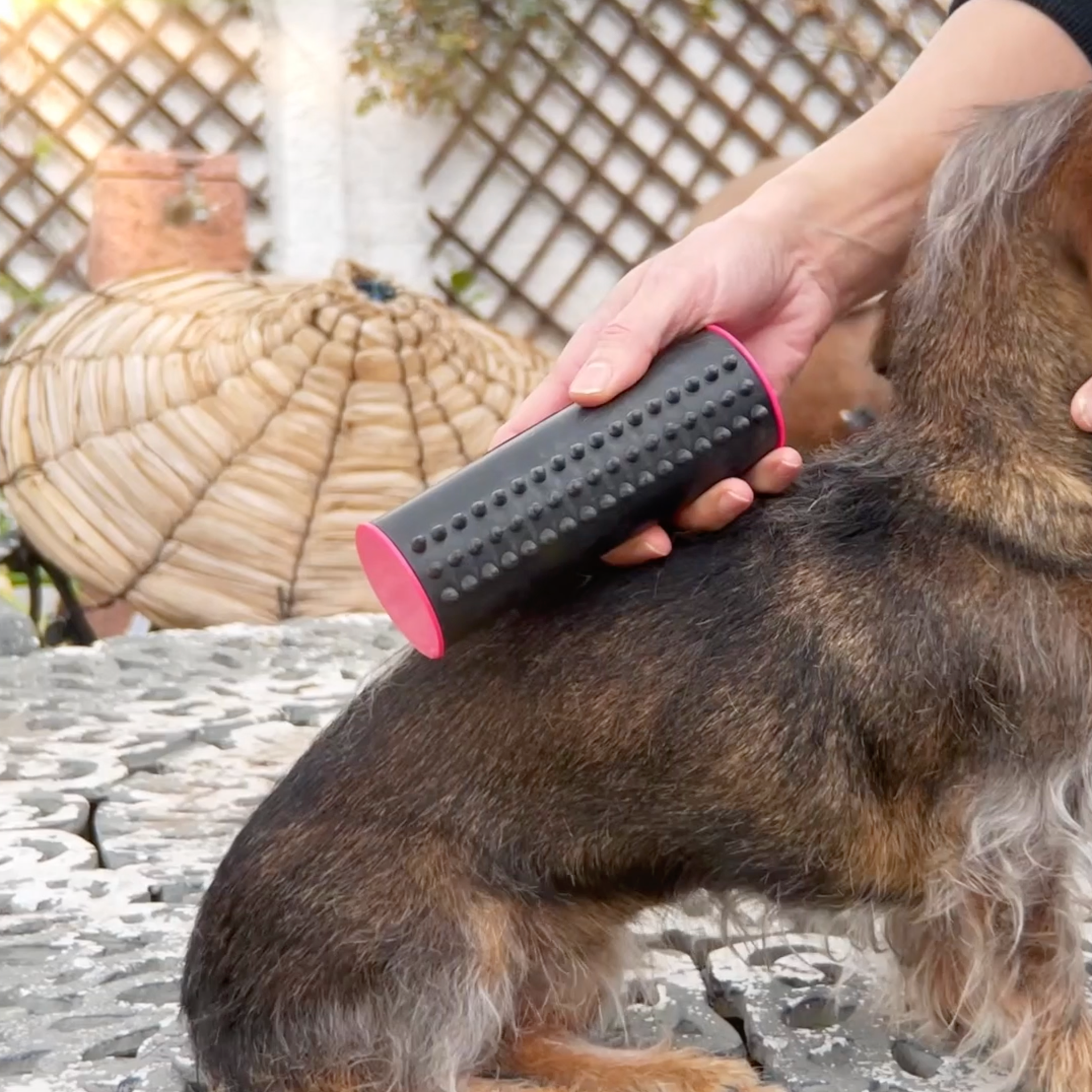 PupGroomer™ - Borstel Voor Ondervacht En Vacht